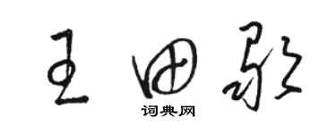 駱恆光王田歌草書個性簽名怎么寫