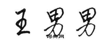 駱恆光王男男行書個性簽名怎么寫