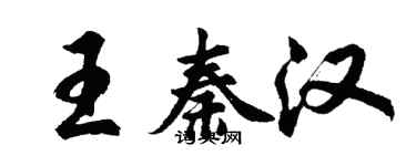 胡問遂王秦漢行書個性簽名怎么寫