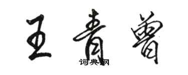 駱恆光王青曾行書個性簽名怎么寫
