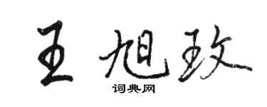 駱恆光王旭玫行書個性簽名怎么寫