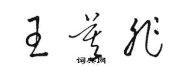 駱恆光王莫非草書個性簽名怎么寫