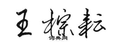 駱恆光王棕耘行書個性簽名怎么寫