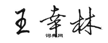 駱恆光王幸林行書個性簽名怎么寫