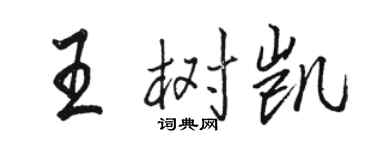 駱恆光王樹凱行書個性簽名怎么寫
