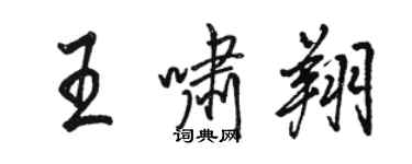 駱恆光王嘯翔行書個性簽名怎么寫