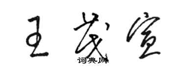 駱恆光王茂宣草書個性簽名怎么寫