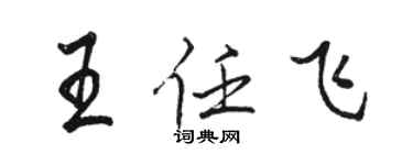駱恆光王任飛行書個性簽名怎么寫