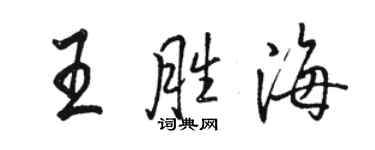 駱恆光王勝海行書個性簽名怎么寫