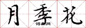 周炳元月季花楷書怎么寫
