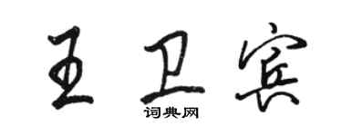 駱恆光王衛賓行書個性簽名怎么寫
