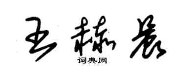 朱錫榮王赫晨草書個性簽名怎么寫