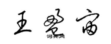 梁錦英王盈宙草書個性簽名怎么寫