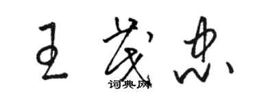 駱恆光王茂忠草書個性簽名怎么寫