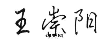 駱恆光王崇陽行書個性簽名怎么寫