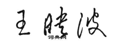 駱恆光王映波草書個性簽名怎么寫