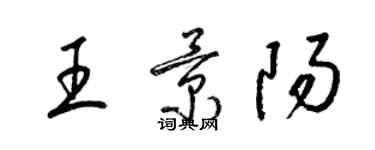 梁錦英王景陽草書個性簽名怎么寫