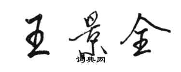 駱恆光王景全行書個性簽名怎么寫