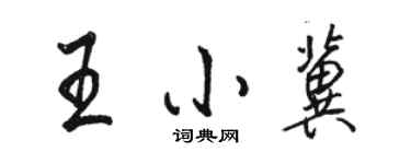 駱恆光王小冀行書個性簽名怎么寫