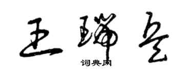 曾慶福王瑞兵草書個性簽名怎么寫