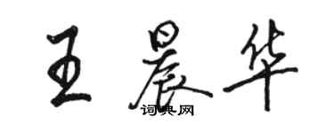 駱恆光王晨華行書個性簽名怎么寫