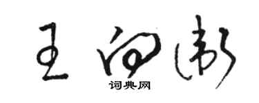 駱恆光王向衛草書個性簽名怎么寫