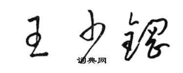 駱恆光王少鋼草書個性簽名怎么寫