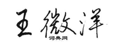 駱恆光王微洋行書個性簽名怎么寫