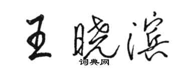 駱恆光王曉濱行書個性簽名怎么寫