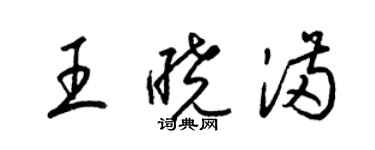 梁錦英王曉滿草書個性簽名怎么寫
