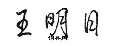 駱恆光王明日行書個性簽名怎么寫