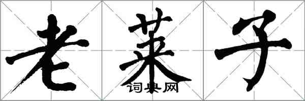 翁闓運老萊子楷書怎么寫