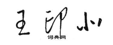 駱恆光王印北草書個性簽名怎么寫