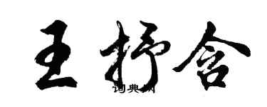 胡問遂王抒含行書個性簽名怎么寫