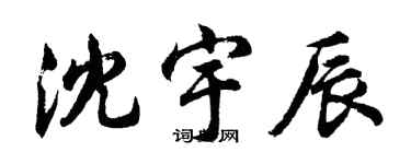 胡問遂沈宇辰行書個性簽名怎么寫