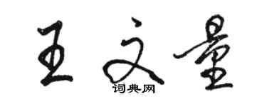 駱恆光王文量行書個性簽名怎么寫