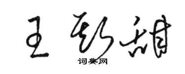 駱恆光王斯甜草書個性簽名怎么寫