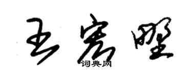 朱錫榮王宏野草書個性簽名怎么寫