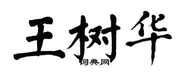 翁闓運王樹華楷書個性簽名怎么寫