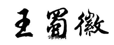 胡問遂王蜀徽行書個性簽名怎么寫