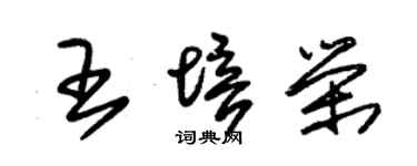 朱錫榮王培榮草書個性簽名怎么寫
