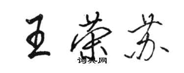 駱恆光王榮蘇行書個性簽名怎么寫