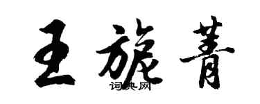 胡問遂王旎菁行書個性簽名怎么寫