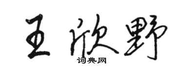 駱恆光王欣野行書個性簽名怎么寫