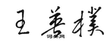 駱恆光王英朴草書個性簽名怎么寫