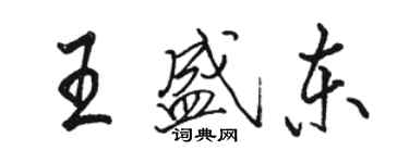 駱恆光王盛東行書個性簽名怎么寫