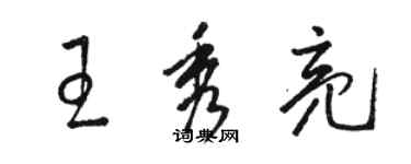 駱恆光王秀亮草書個性簽名怎么寫