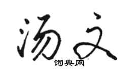 駱恆光湯文行書個性簽名怎么寫