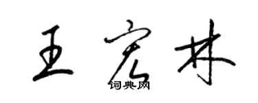 梁錦英王宏林草書個性簽名怎么寫