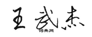 駱恆光王武傑行書個性簽名怎么寫